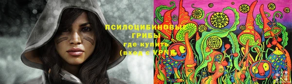 стаф Володарск