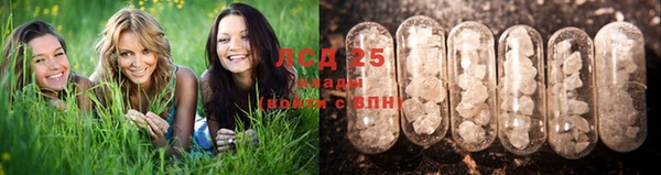 дурь Волоколамск