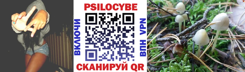 Купить  Нелидово  Галлюциногенные грибы Magic Shrooms 